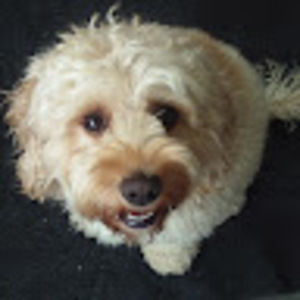 Meet your Posher, Kirsten